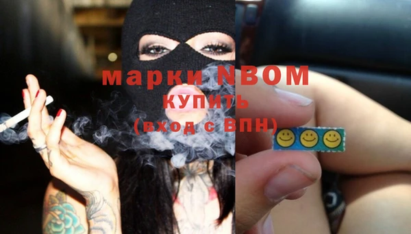 индика Михайлов