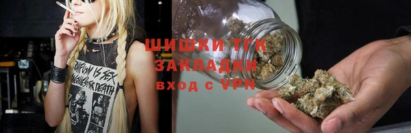 индика Михайлов
