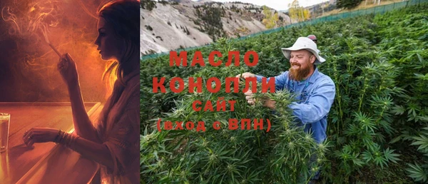 индика Михайлов