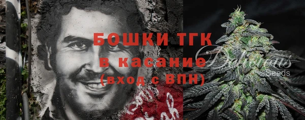 индика Михайлов