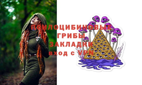 индика Михайлов