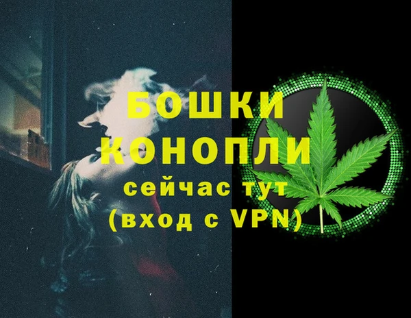 индика Михайлов