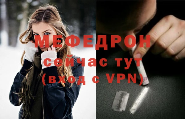 индика Михайлов