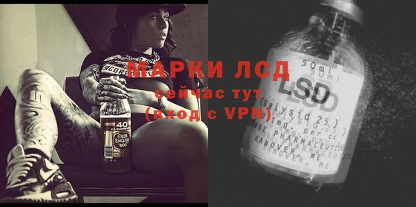 индика Михайлов