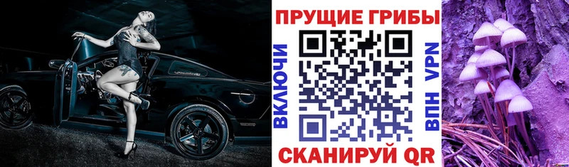 Галлюциногенные грибы мухоморы  наркотики  Гаджиево 